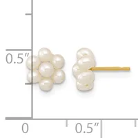 Pair of pearl cluster stud earrings with gold posts, shown next to a ruler indicating approximately 0.5 inches in width.