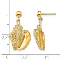 Gold conch shell earrings with polished and textured surfaces, shown from front and back views next to a measurement scale.