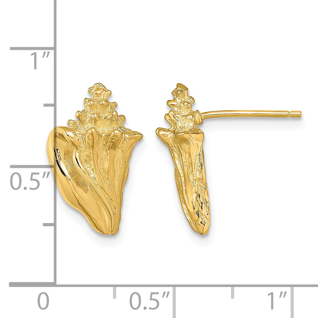 Gold-colored seashell-shaped stud earrings shown from front and side views next to a measurement scale indicating approximately one inch in height.