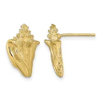 A pair of gold stud earrings shaped like conch shells, shown from front and side views against a white background.