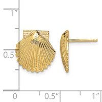 Pair of gold shell-shaped stud earrings shown from front and side views next to a ruler measuring approximately half an inch in width.