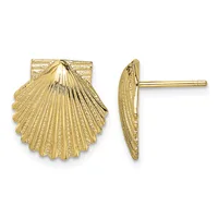 A pair of gold shell-shaped stud earrings shown from front and side views, featuring radiating ridged detailing and post backs.