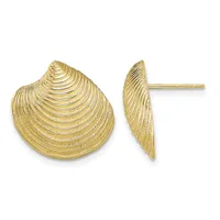 Pair of gold shell-shaped stud earrings shown from front and side views, featuring textured radiating line details.