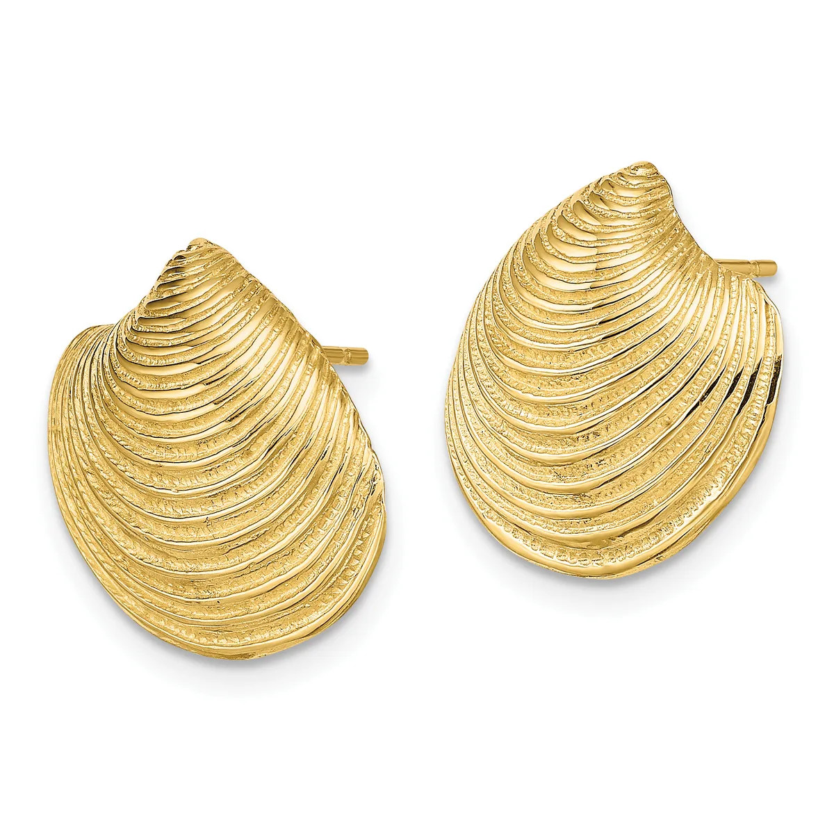 A pair of gold-colored shell-shaped stud earrings with textured linear detailing, shown from the front against a white background.
