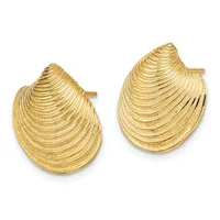 A pair of gold-colored shell-shaped stud earrings with textured linear detailing, shown from the front against a white background.