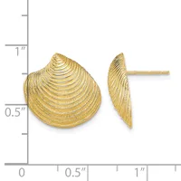 Gold seashell stud earrings shown front and side view against a measurement scale, approximately one inch wide and half inch tall.