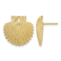 Gold shell-shaped stud earrings shown from front and side views, featuring detailed radiating line texture throughout.