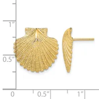 Gold shell-shaped stud earrings shown from front and side views with a measurement scale indicating approximately one inch in height.