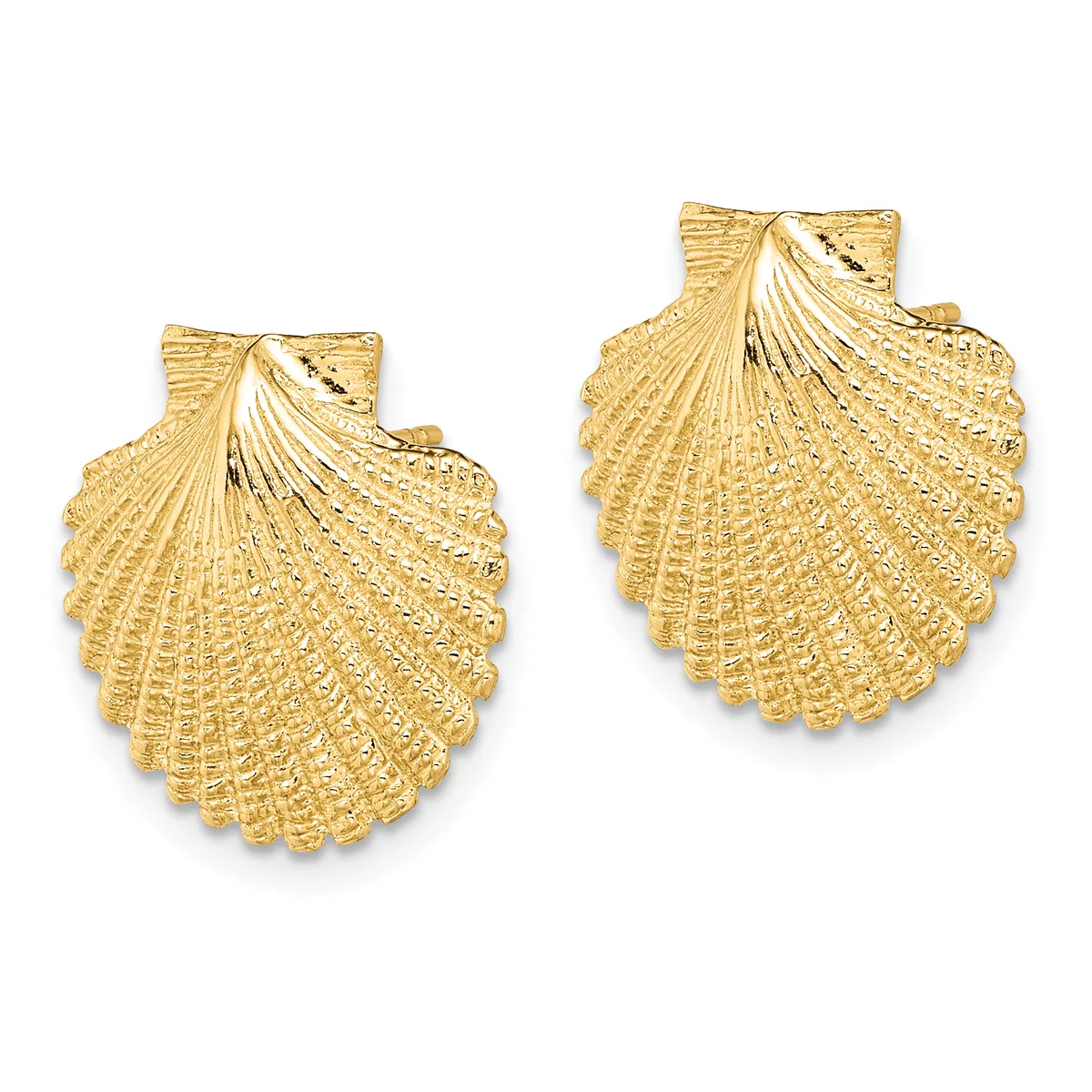 A pair of gold shell-shaped earrings with detailed radiating ridges and small square posts for pierced ears.