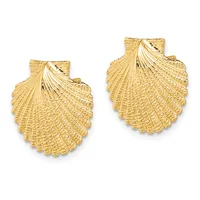 A pair of gold shell-shaped earrings with detailed radiating ridges and small square posts for pierced ears.