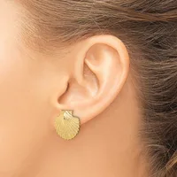 A person wearing a gold shell-shaped stud earring is shown from the side, with long brown hair pulled back.