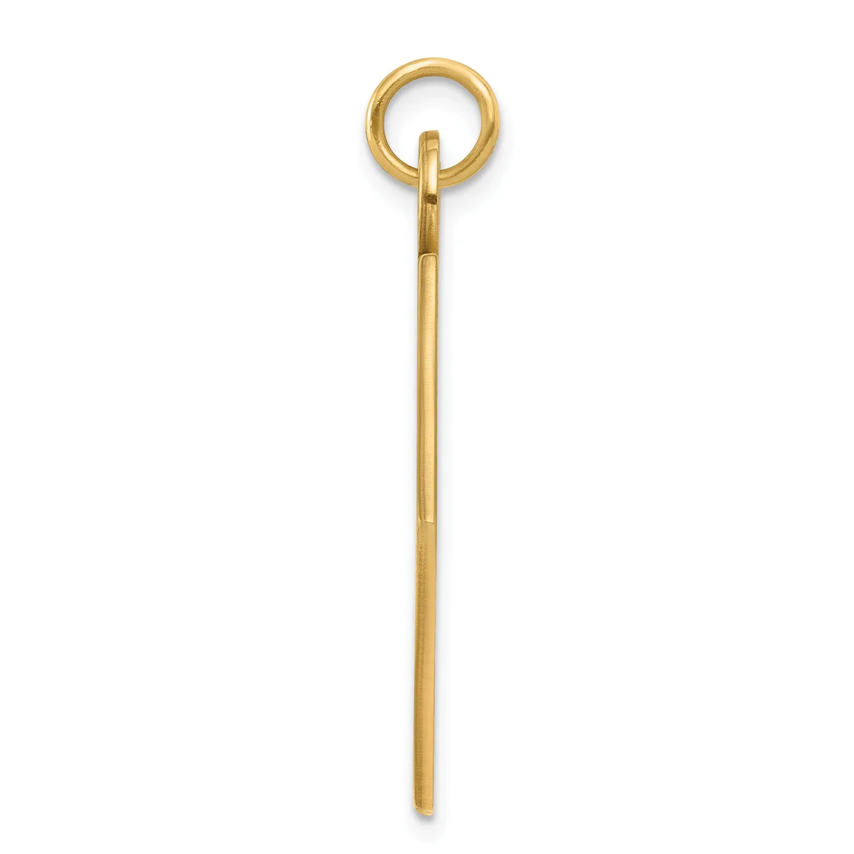 A long gold-toned metal stick with a circular loop at the top, shown vertically against a white background.