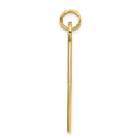 A long gold-toned metal stick with a circular loop at the top, shown vertically against a white background.
