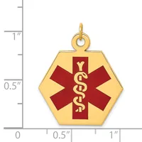 Gold hexagonal medical alert pendant with red enamel star of life symbol and intertwined serpent staff, shown next to ruler for scale.