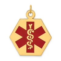 Gold hexagonal medical alert pendant with red enamel star of life symbol and intertwined serpent staff, suspended from a small loop bail.