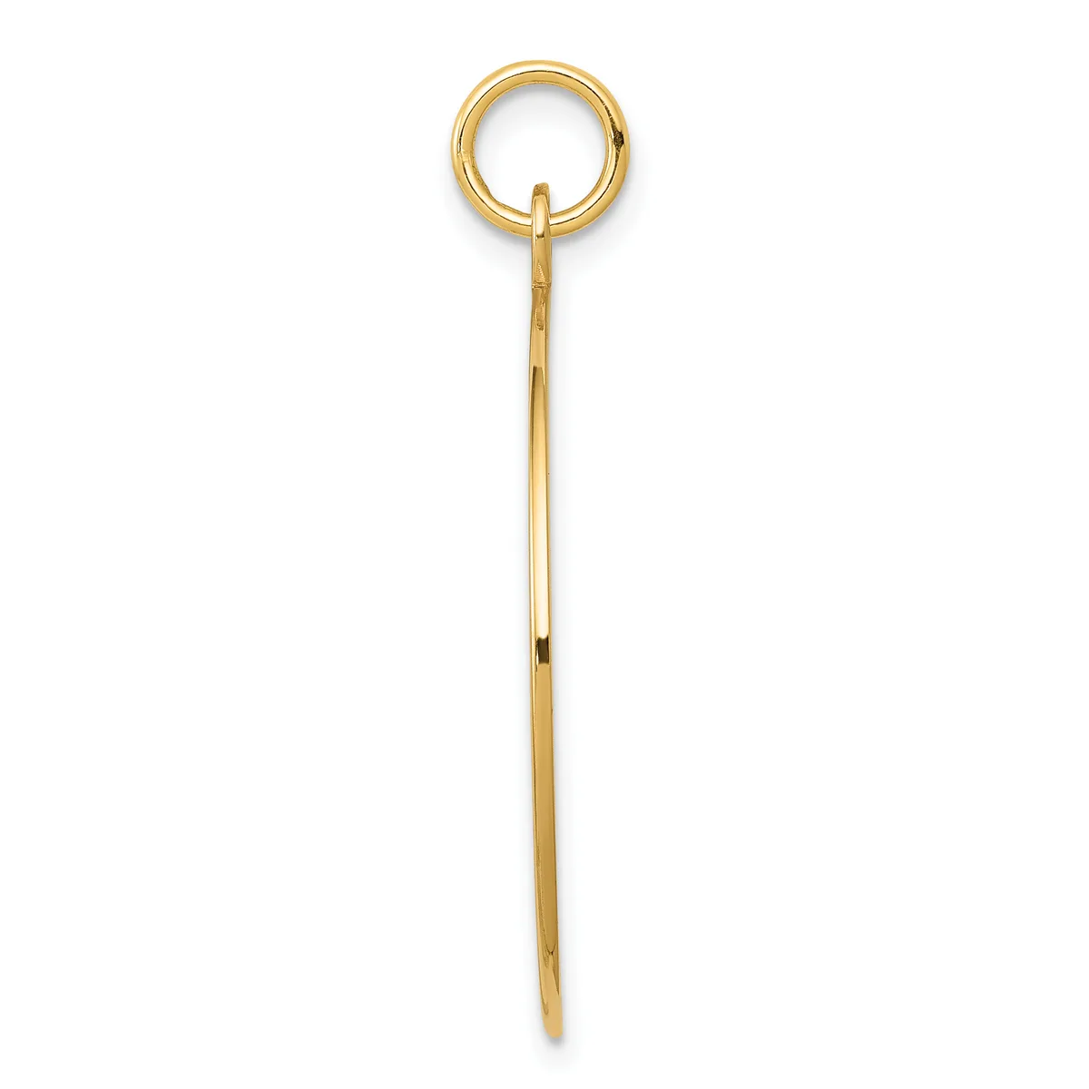 A long, thin gold rod with a small loop at the top, shown against a white background.