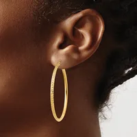 A woman wearing a pair of gold hoop earrings with a textured finish on one side and smooth on the other.
