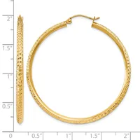 Gold-tone textured hoop earrings displayed against a measurement ruler showing approximately two inches in length.
