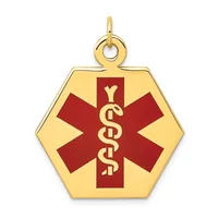 Gold hexagonal medical alert pendant with red cross and caduceus symbol, suspended from a gold loop bail.