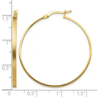 Gold-colored hoop earrings with a textured finish, displayed with a measurement scale showing they are approximately 1.5 inches in diameter.