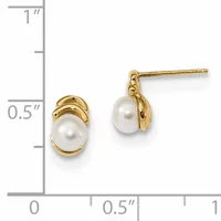 Pair of gold stud earrings with white pearls set in curved gold bezels, shown next to a measurement scale indicating approximately half an inch in height.