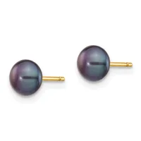 A pair of dark gray pearl stud earrings with gold posts and backing, displayed side by side against a white background.