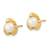 Pair of gold stud earrings with white pearl centers surrounded by curved gold bezels, shown against a white background.