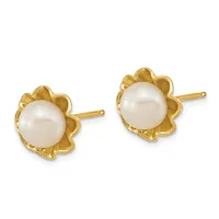 A pair of gold stud earrings with scalloped flower-shaped settings, each featuring a white pearl center.