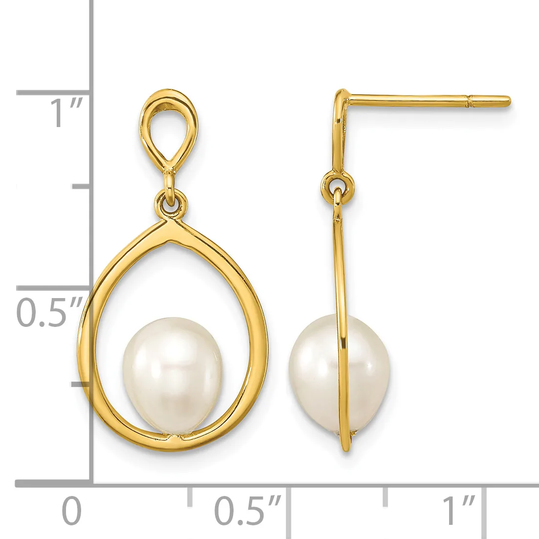 Gold teardrop earrings with white pearl centers, displayed next to a ruler showing approximately one inch in length.