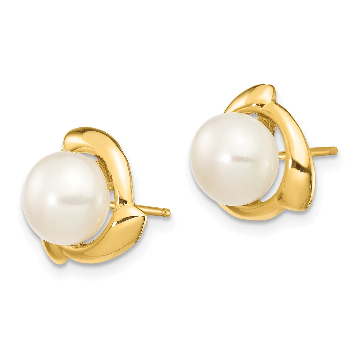 A pair of gold stud earrings featuring white pearls set in curved gold bezels with post and clutch backs.