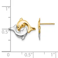 Two-tone dolphin stud earrings with yellow gold dolphin and white gold circular backing, shown front and side view against a measurement scale.
