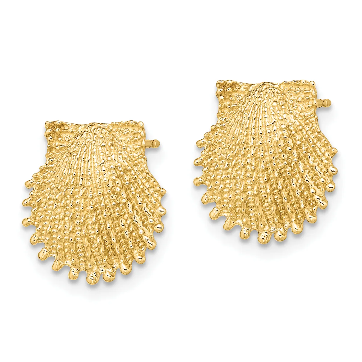 Pair of gold textured shell-shaped earrings with beaded edges and post backs, shown from the front.