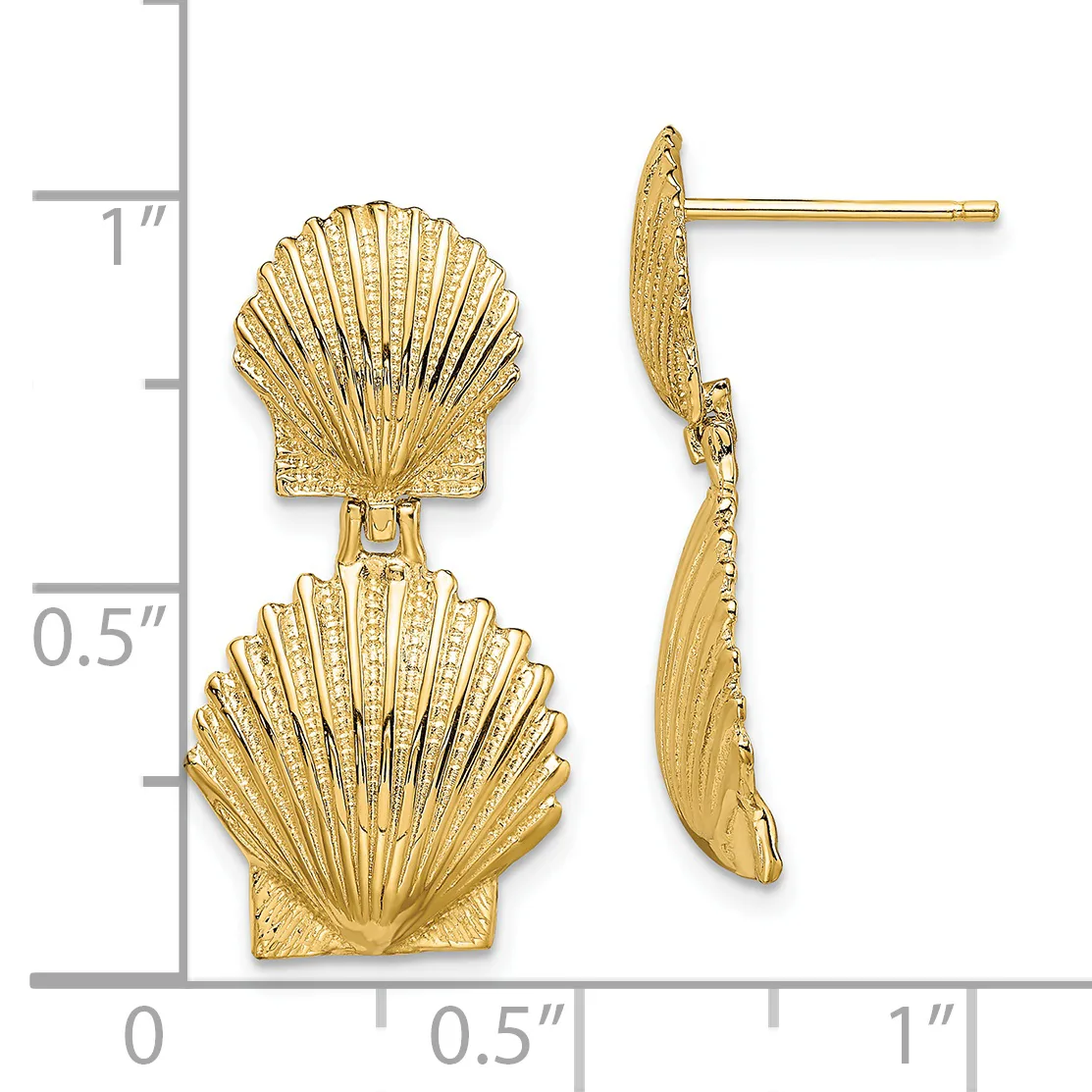 Gold-colored shell-shaped stud earrings with textured detailing, shown from front and side views with a measurement scale.
