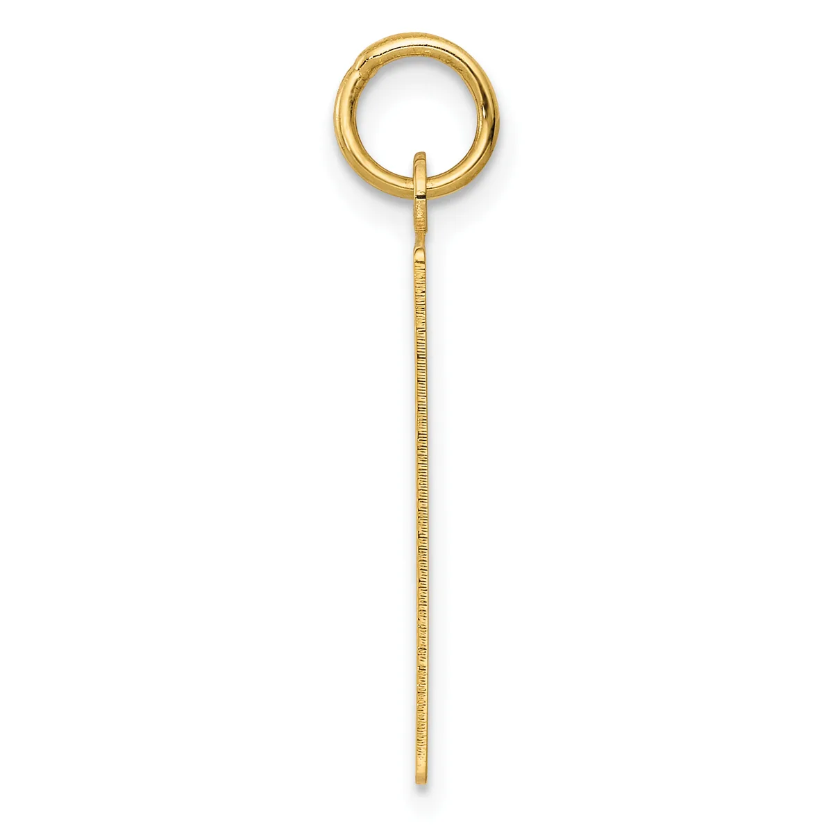 A long gold chain with a textured surface and a polished circular ring attached at the top, displayed against a white background.