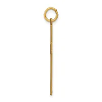 A long thin gold pendant with a small circular loop at the top and textured surface along its length, shown hanging against a white background.