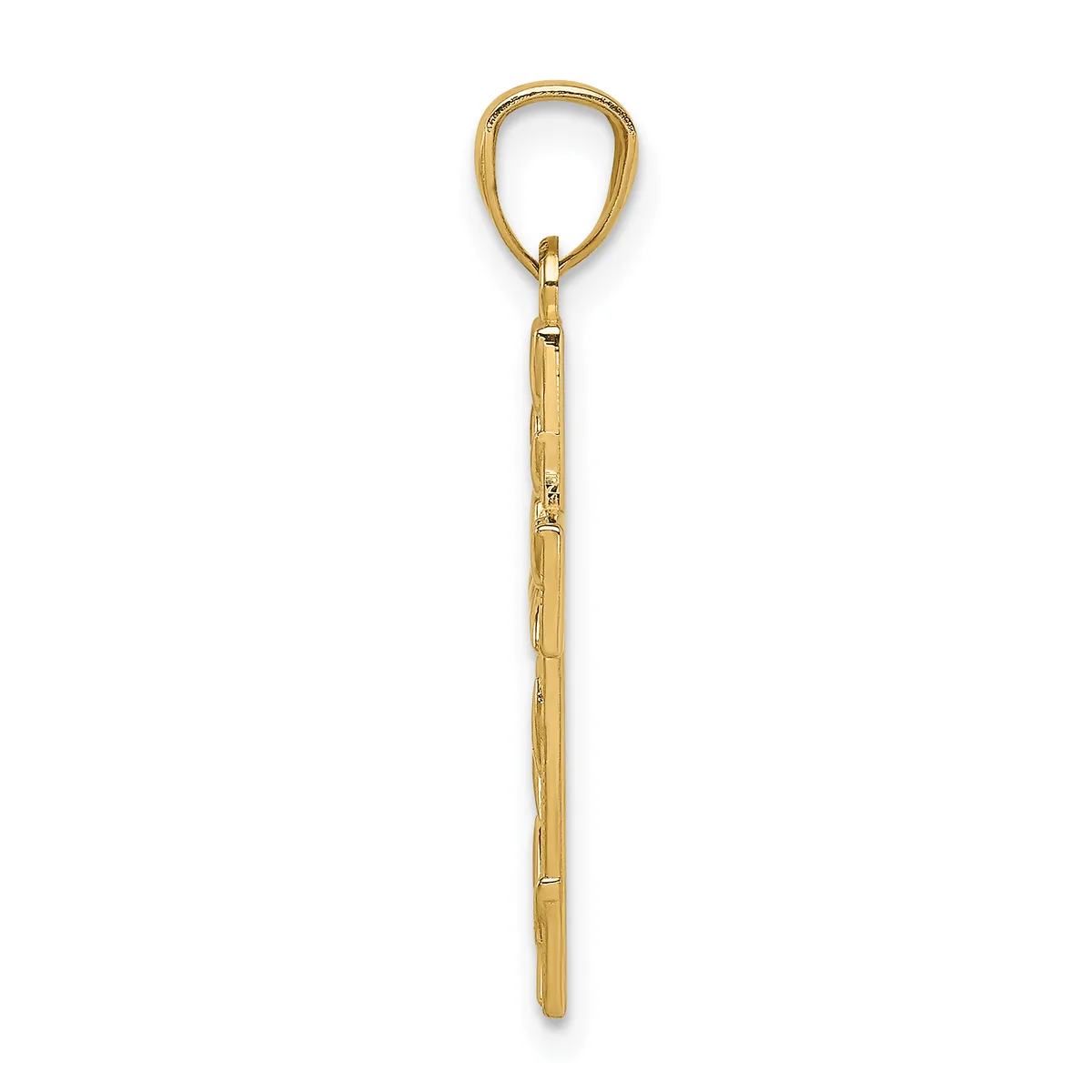 A gold-toned metal shoehorn with an elongated handle and a curved loop at the top for hanging.