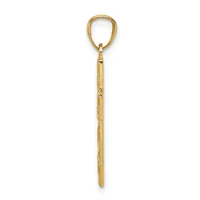 A gold-toned metal shoehorn with an elongated handle and a curved loop at the top for hanging.
