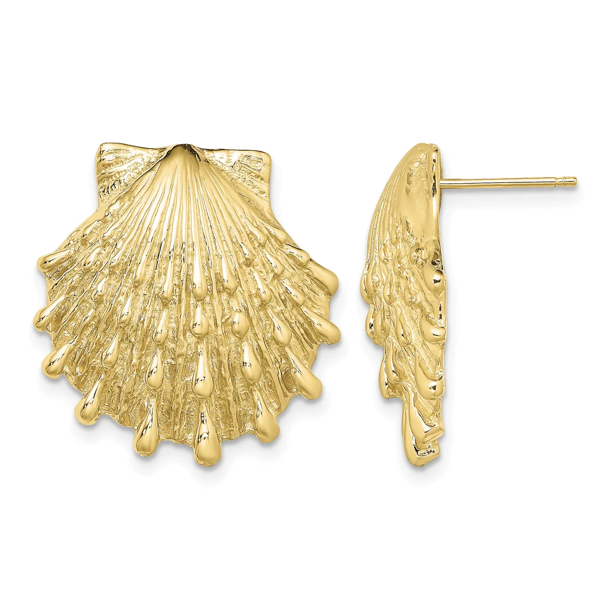 Pair of gold seashell-shaped stud earrings shown from front and side views, featuring detailed radiating ridges and a polished finish.