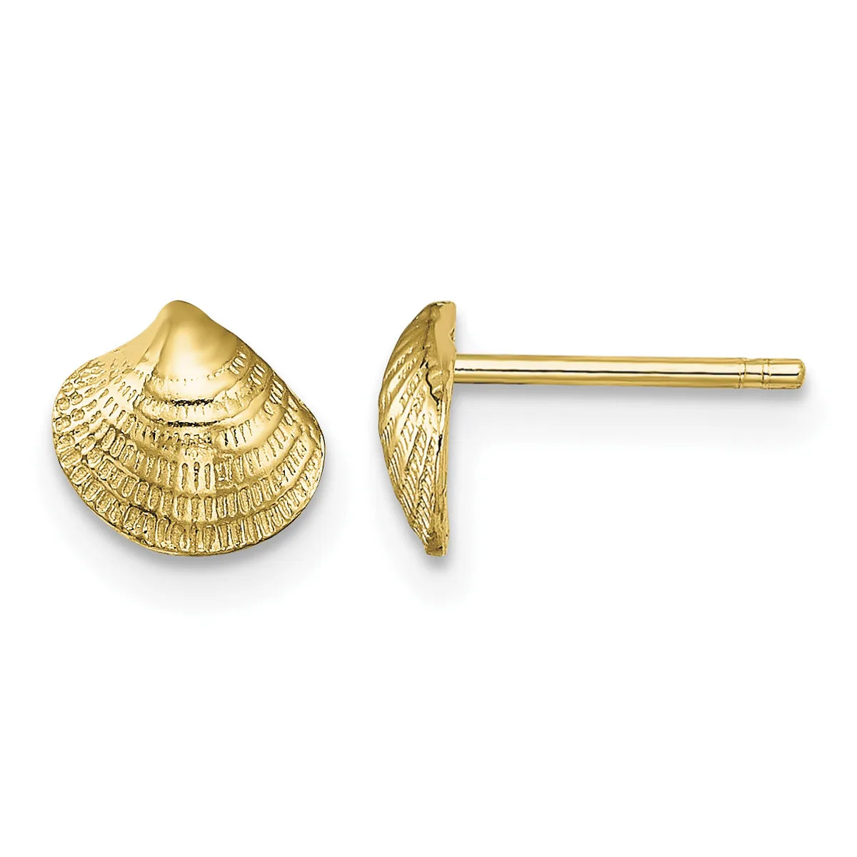 A pair of gold shell-shaped stud earrings shown from front and side views, displaying textured surface detail and post backs.