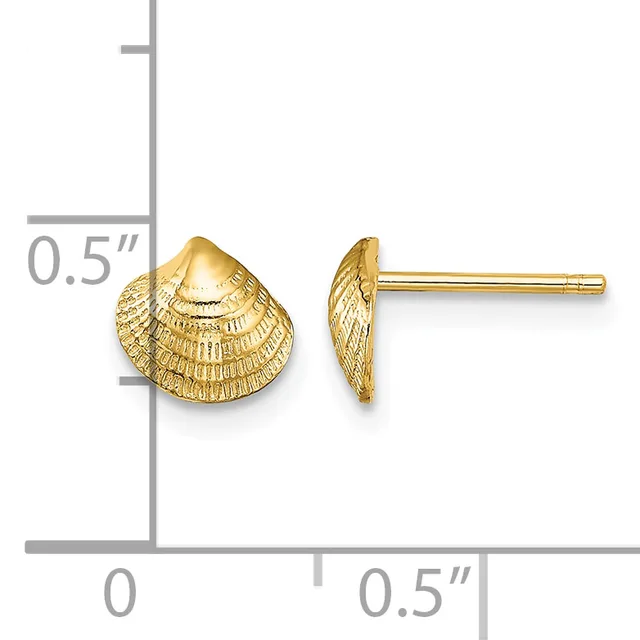 Gold seashell-shaped stud earrings shown from front and side views next to a ruler indicating approximately 0.5 inches in size.