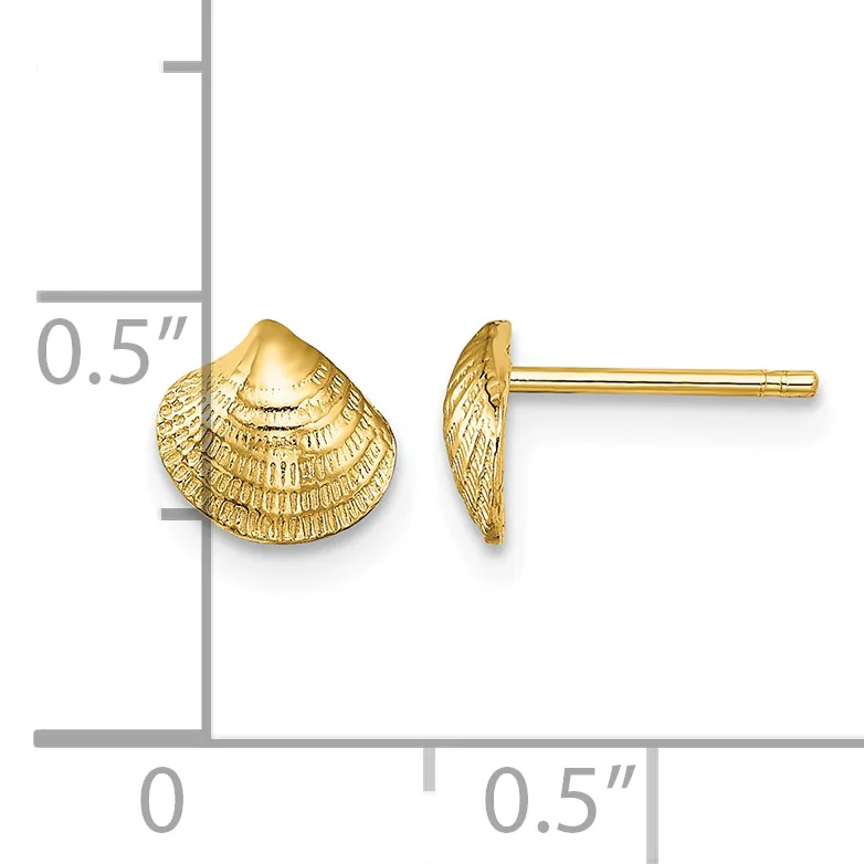 Gold seashell-shaped stud earrings shown from front and side views next to a ruler indicating approximately 0.5 inches in size.