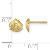 Gold seashell-shaped stud earrings shown from front and side views next to a ruler indicating approximately 0.5 inches in size.