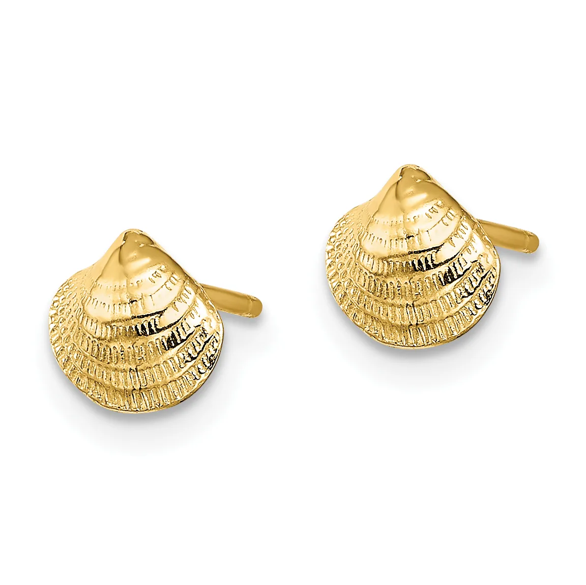 A pair of gold shell-shaped stud earrings with textured ridged surfaces and post backs, displayed against a white background.