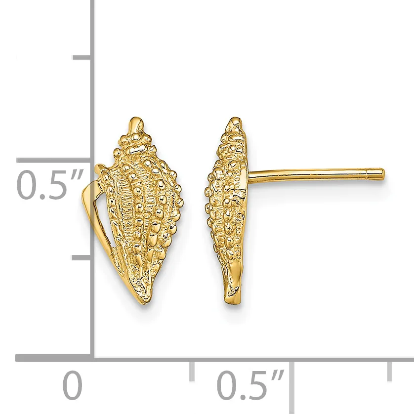 Gold textured shell-shaped stud earrings shown front and back view with measurement scale indicating approximately 0.5 inches in height.