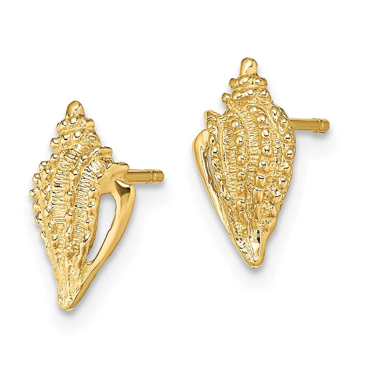 Pair of gold-colored shell-shaped stud earrings with textured surface detail and post backs, shown from front and side views.