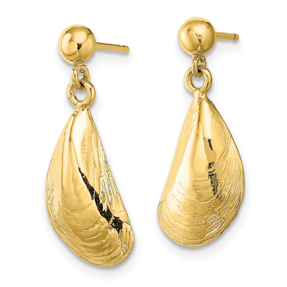 Pair of gold teardrop shell earrings with textured surface and polished ball studs, shown from front and back views.
