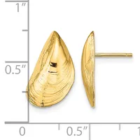 Pair of gold-colored shell-shaped stud earrings with textured surfaces, shown front and side view next to a measurement scale.