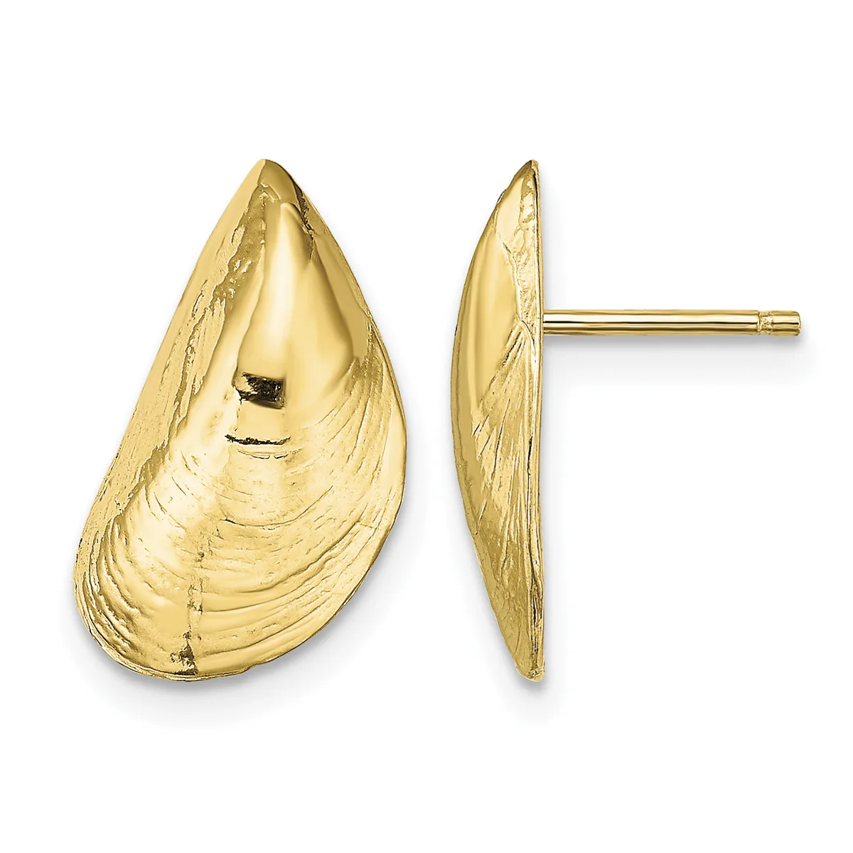 Pair of gold-colored shell-shaped stud earrings shown from front and side views with posts and backs attached.