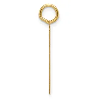 A gold-toned metal lariat pendant consisting of a rounded loop at the top connected to a long thin chain that hangs below it.