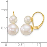 A pair of gold leverback earrings, each featuring two graduated white pearls stacked vertically, displayed against a measurement scale.